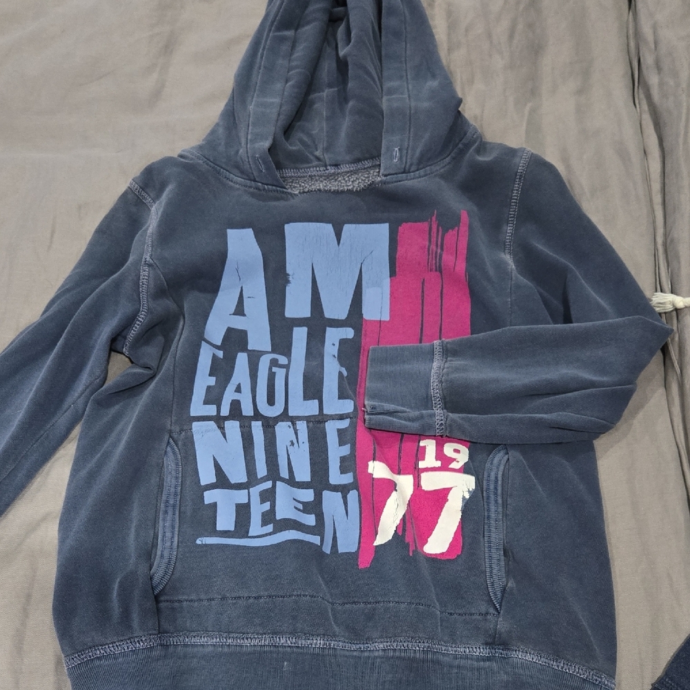 American Eagle Outfitters Blue and Pink Graphic Hoodie